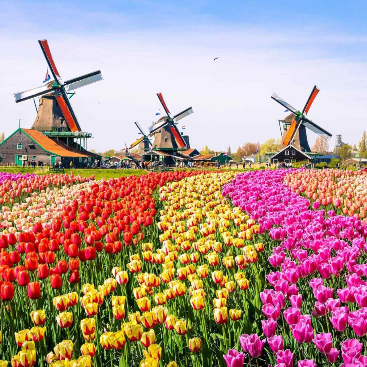 https://alacrantravelsytours.com/wp-content/uploads/2018/09/destination-netherlands-01-1280x1280.jpg